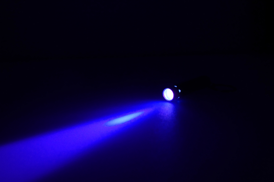 Lampe-torche de l'acier inoxydable LED Keychain de forme de tube pour la promotion de cadeau