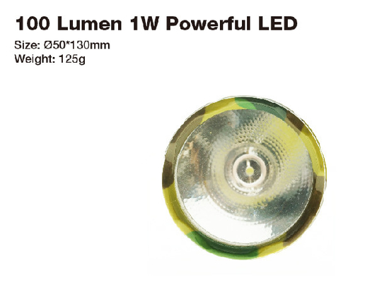 La taille pratique 1W LED branchent la torche rechargeable IPX3 pendant 10 heures de temps d'exécution léger