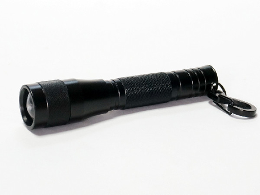 Petite taille forte de résistance à l'eau de la torche IPX4 de lampe-torche de D.C.A. LED Keychain