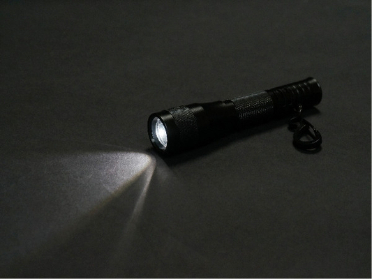 Lampe-torche chaude du blanc LED Keychain de mini bourdonnement avec 1 * pile sèche de D.C.A.