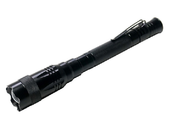 La lampe-torche en aluminium de logo du CREE LED Porjective de la batterie 2AA de keychain qui respecte l'environnement pour holloween